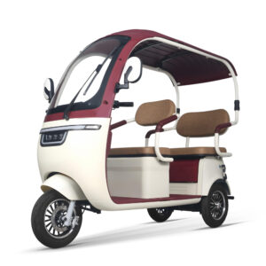 Geco AX3 RD210 3-Rad Scooter Elektro-Dreirad mit 25km/h Zulassung