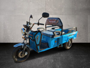 Cargo Runner Compact 25km/h