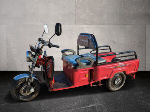 Cargo Runner Compact 25km/h