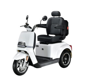 Geco Senio U1 Scooter 1000W 60V 20Ah 6-15km/h Magnetbremse