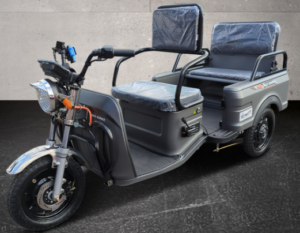 Cargo Runner Compact Rikscha 35 oder 25km/h