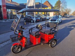 Cargo Runner Passenger 25km/h