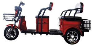 Cargo Runner Passenger 25km/h