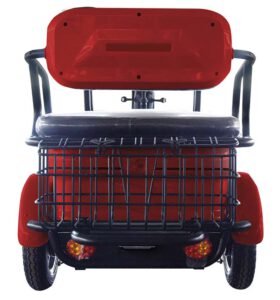 Cargo Runner Passenger 25km/h