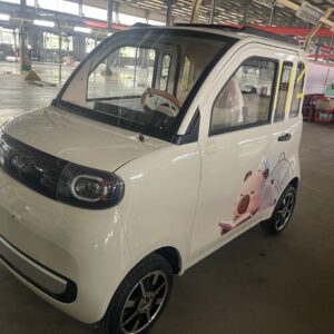 Cargo Runner Joy Piccolo L6e Minimoped-Auto 45 km/h